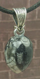 Gypsy Gems & Jewelry™ Naturally Unique™ Orthoceras Pendants