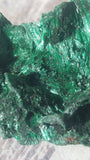 Velvet malachite in natural sunlight