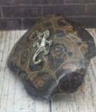 Cute reptile gift idea