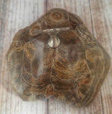 Fossil coral with figurine