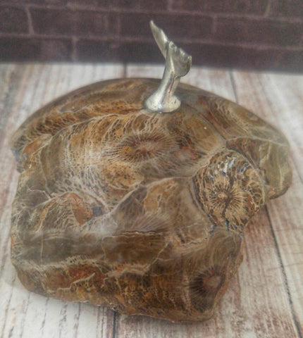 Whale tail on fossilized coral for sale