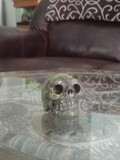 Home Decor Gemstone Mineral Naturally Unique Kambaba Jasper Skull in Living Room on GGandJ.com