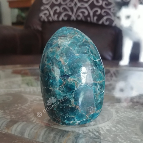 Home Decor Gemstone Mineral Naturally Unique Apatite Tower in Living Room on GGandJ.com Cat Kitten Feline Lover