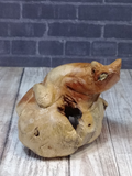 Indonesian Wood art frog gypsy gems & jewelry naturally unique