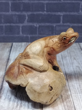 Side view of wood frog