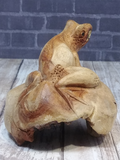 backside of wood frog