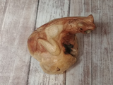 Top view of wood frog