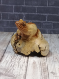 front view of wood frog