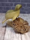 Wood Seal on wave with brick and wood grain background ggandj.com