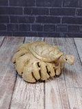 Indonesian Wood art turtle on knot gypsy gems & jewelry naturally unique