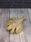 Turtle gecko hut