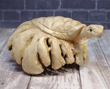 Indonesian Wood art turtle on knot gypsy gems & jewelry naturally unique