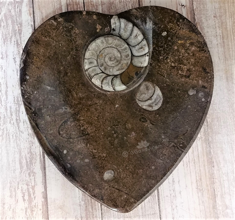 Ammonite fossil heart plate on ggandj.com gypsy gems & jewelry Heart Plate A