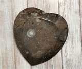 backside of Ammonite heart plate A