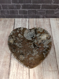 Fossil Plate Heart Shaped Gift