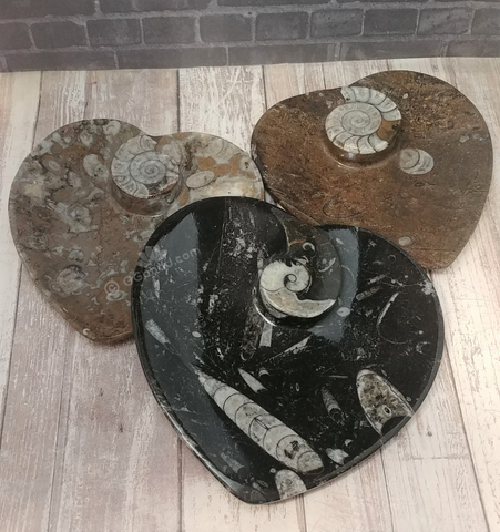 Ammonite fossil heart plates on ggandj.com gypsy gems & jewelry