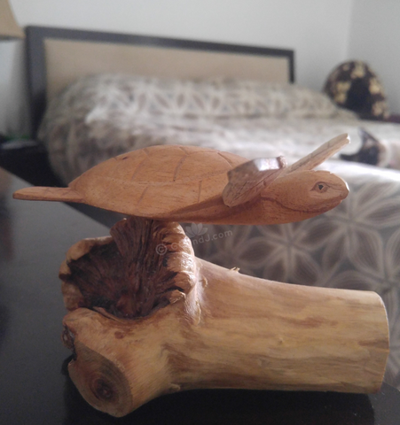 Home Decor Indonesian Wood Art Naturally Unique Hand carved turtle  in Bed Room on GGandJ.com siamese cat