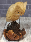 Hand carved Owl on natural mushroom burl GGandJ.com Naturally Unique