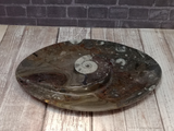 Spiral Fossil Plate on GGandJ.com Gypsy Gems & Jewelry Naturally Unique