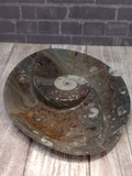 Ammonite fossil spiral plate on ggandj.com gypsy gems & jewelry
