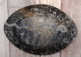 Backside of fossil plate