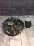 Spiral fossil plate with size reference