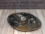 Spiral Fossil Plate on GGandJ.com Gypsy Gems & Jewelry Naturally Unique