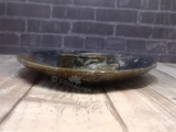 Side view of ammonite spiral plate on wood grain background