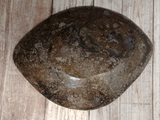 backside of oblong fossil plate
