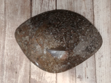 backside of oblong fossil plate