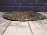 Side view of ammonite oblong plate on wood grain background