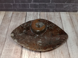 Oblong unusual fossil plate ammonite orthoceras gift idea GGandJ.com