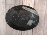backside of oval fossil plate