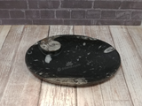 fossil oval plate from Morocco