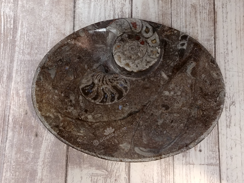 Ammonite fossil oval plate B on ggandj.com gypsy gems & jewelry