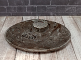 fossil oval plate from Morocco ammonite