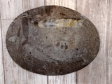 backside of oval fossil plate