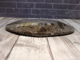 Side view of ammonite oval plate on wood grain background