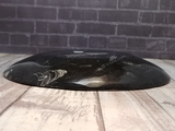 Side view of ammonite oval plate on wood grain background
