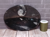 Fossil Orthoceras and Ammonite Oval Plates - Large