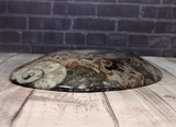 Side view of ammonite oval plate on wood grain background