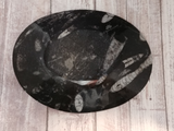 backside of oval fossil plate