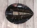 Orthoceras fossil teardrop plate on ggandj.com gypsy gems & jewelry