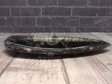 Side view of orthoceras teardrop plate on wood grain background