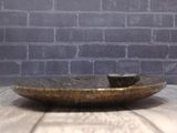 Side view of ammonite small round fossil plate on wood grain background