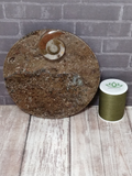 small circle fossil plate from Morocco ammonite round GGandJ.com with thread spool size reference