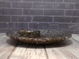 Side view of ammonite circle plate on wood grain background