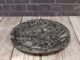 fossil feeder dish on Gypsy Gems & Jewelry