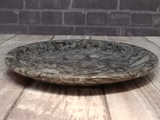 side view of fossil feeder dish