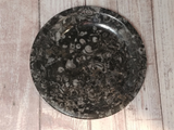 Ammonite Orthoceras fossil feeder plate, soap dish Gypsy Gems & Jewelry GGandJ.com